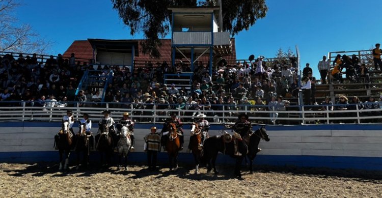 Ocho colegios disfrutaron una variada muestra de 