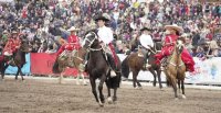 ¿Cuáles son los horarios de presentaciones de las Escuadras Ecuestres en la Semana de la Chilenidad?