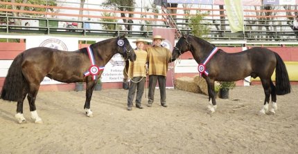 Favorita y Normando, tricampeones de la Expo Semana de la Chilenidad