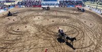 Grete Ruber comentó el proyecto para llevar al caballo de raza chilena al Mundial de Enganche 2027