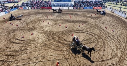 Grete Ruber comentó el proyecto para llevar al caballo de raza chilena al Mundial de Enganche 2027