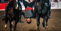 ¡40 imágenes para revivir la XXVIII Semana de la Chilenidad!