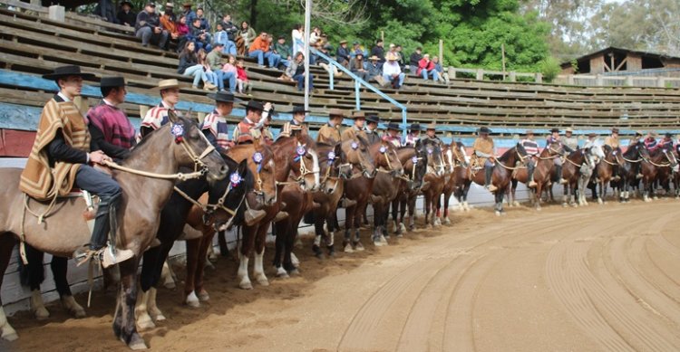 Criadores de Cauquenes esperan tener un ameno rodeo en la sede de la próxima Final Nacional