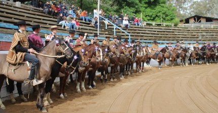 Criadores de Cauquenes esperan tener un ameno rodeo en la sede de la próxima Final Nacional