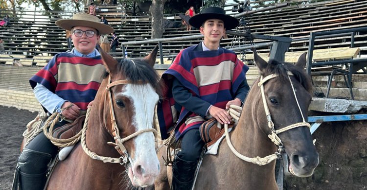 Cardemil y Morales: