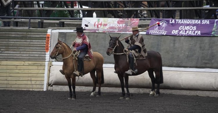 El programa del Zonal Centro Curicó 2025