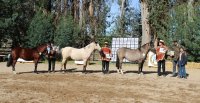 Los Grandes Premios de la Expo Ñuble 2025
