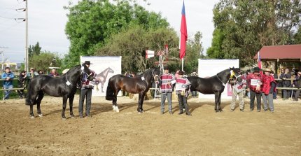 Expogama: Criadores de Cardenal Caro harán su Exposición y una muestra de Aparta en Marchigüe