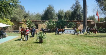 Enganche: La presentación de los caballos chilenos que viajarán a Europa