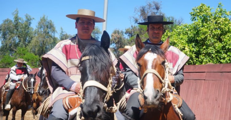 Matías Sepúlveda y su paso a Los Tacos de Rumai: "Los caballos son muy buenos"