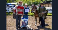 En Yumbel realizarán su segunda exposición de caballos chilenos promocional
