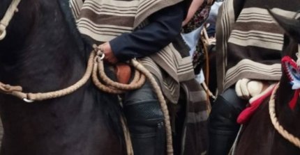 Listados de Colleras para los rodeos limitados del 8 y 9 de noviembre