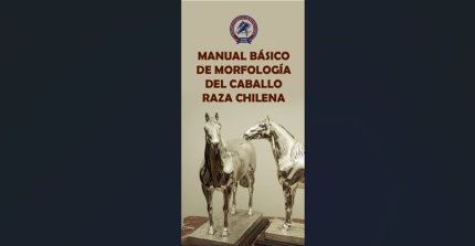 Federación de Criadores creó manual de bolsillo sobre la Morfología del Caballo Raza Chilena