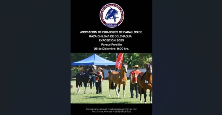 Criadores de Colchagua trasladaron a Peralillo su exposición 2025