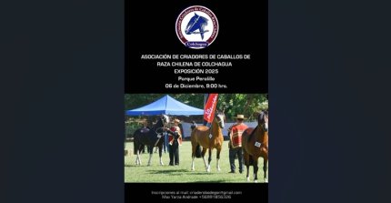Criadores de Colchagua trasladaron a Peralillo su exposición 2025