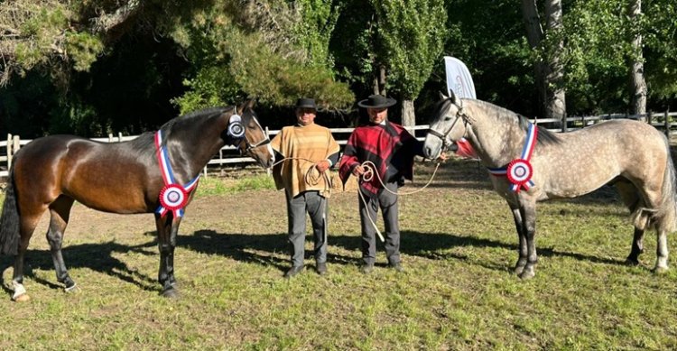 El Laurel y Puyehuina reinaron en la Expo Cabrero 2025