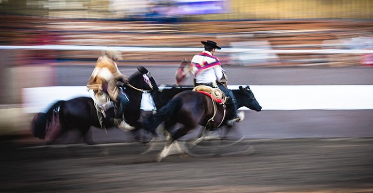 Listado de colleras para el Zonal Sur 2025 de Purranque