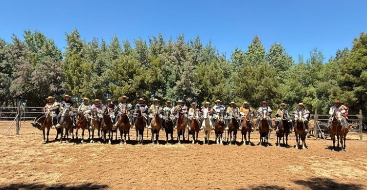 Club San Ignacio dejó en casa el triunfo en la Aparta de los Criadores de Ñuble