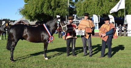 SAGO Fisur 2025 llega con exposición y otros grandes atractivos