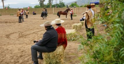 La Expo Quillota 2025 tendrá varias visitas este sábado