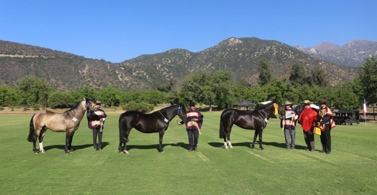 Criadores de Cordillera invitan a su exposición: inscripciones están abiertas