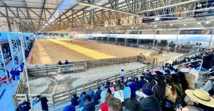 Delegación chilena participará en la Semana del Caballo "Maneca Costa" en Esteio