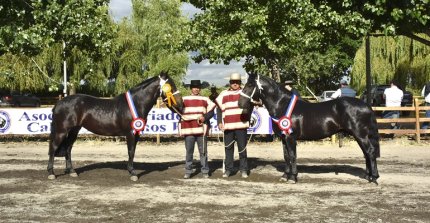 Los Grandes Premios de la Expo Bío Bío 2025