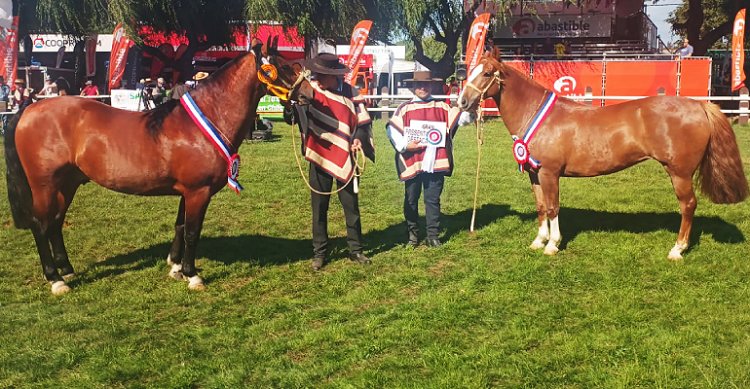 Criadero Río Claro tuvo gran cosecha en la Expo Sago Fisur 2025