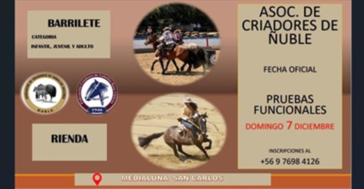 Criadores de Ñuble tendrán este domingo otra fecha de funcionalidad en San Carlos