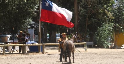 Expo Maipo tiene nueva sede para su edición de este sábado