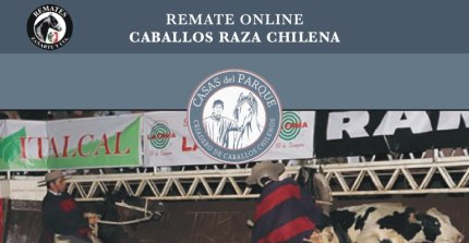 Criadero Casas del Parque sale a remate con sangres del Firpo