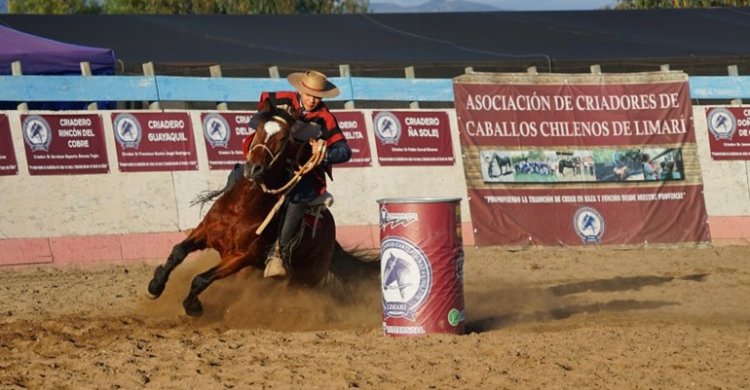 En Limarí esperan una concurrida jornada para su exposición y pruebas funcionales