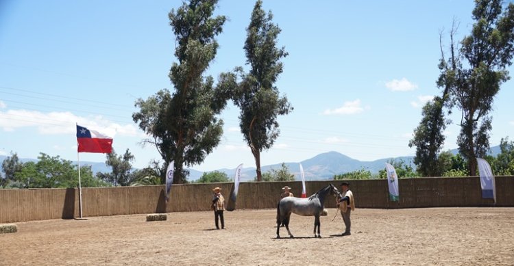 La amena exposición de los Criadores de Quillota
