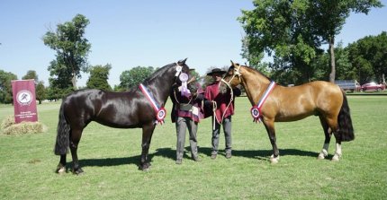 Talonera y Qué Elegante fueron los vencedores en una gran versión de la Expo Curicó