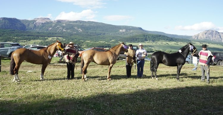 Los Grandes Premios de la Expo Aysén 2025-2026