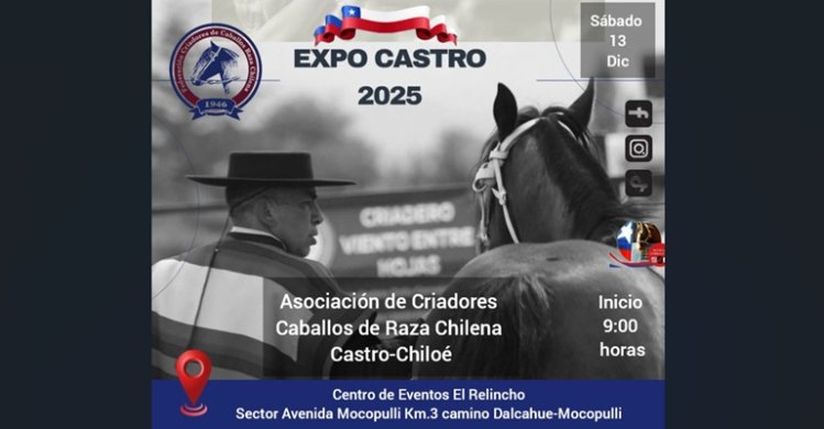 Asociación Castro-Chiloé está lista para realizar su primera exposición