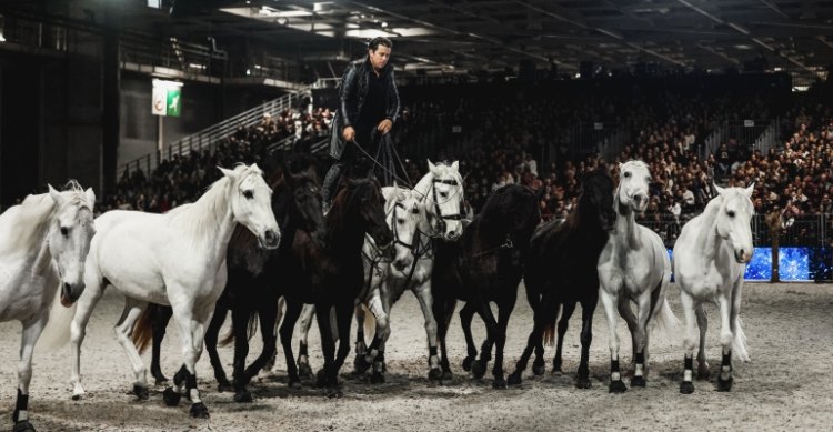 La Noche del Salón du Cheval: Espectáculo y glamour al más alto nivel