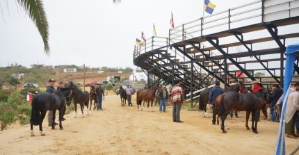 [STREAMING] Sigue la Expo Petorca 2025 en Quinta Rodeo TV