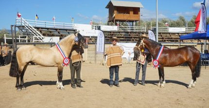Soberano y Relista se lucieron ante un gran y participativo público en la Expo Petorca