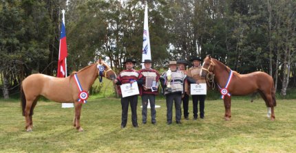 Las Quebradas Esquiva y Nieves Eternas Papelucho ganaron la Expo Castro Chiloé