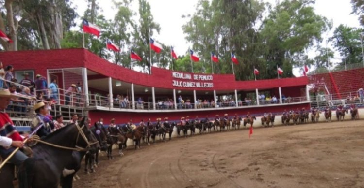 Remate de montas a beneficio del Club Pemuco Río Pal-Pal se cierra este martes