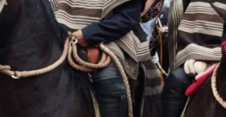 Listados de colleras para los rodeos limitados de este fin de semana