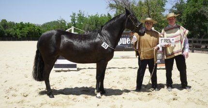 Los premiados por categoría de la Expo Cordillera 2025