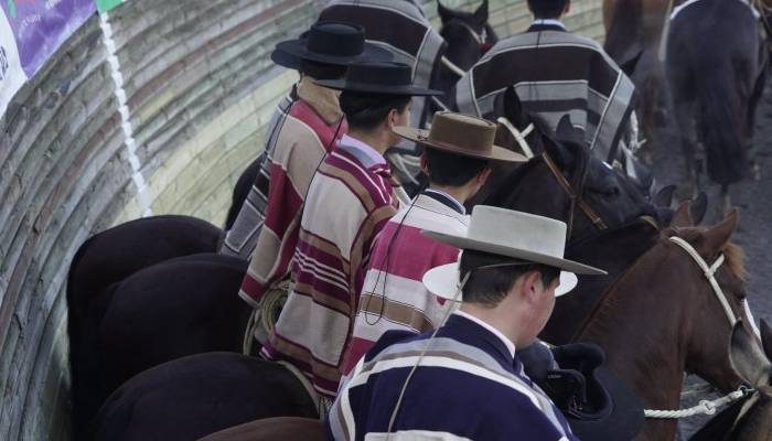 Este es el programa oficial del Clasificatorio Escolar Zona Centro Norte 2025