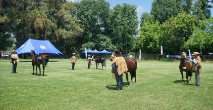 Calle Larga recibió otra fiesta del Caballo Chileno