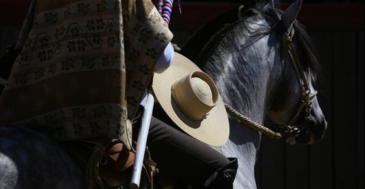 La Federación del Rodeo, la Federación de Criadores y Caballoyrodeo les desean una Feliz Navidad