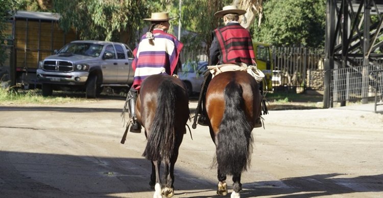 [STREAMING] Ecos Sonido e Imagen transmite el Clasificatorio Escolar Centro Norte