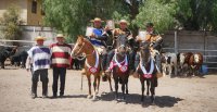 Aparta de Ganado cerró un gran evento en Copiapó con triunfo de El Chañar Alto