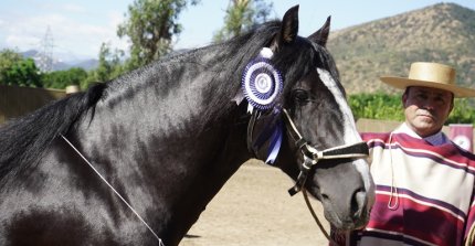 José Alejandro Huerta: Esperamos que todos los que clasificaron participen en la Final de Pemuco