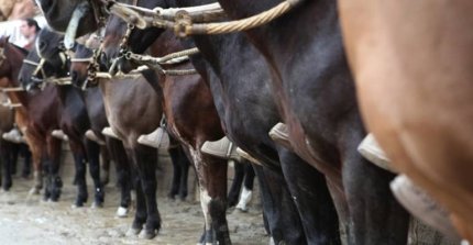 Club Trovolhue tiene un interesante Interasociaciones para comenzar el 2026